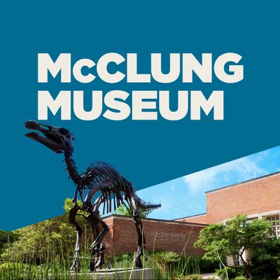 McClung Museum