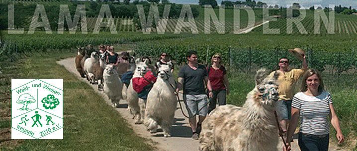 Lama Wandern in D\u00dcW