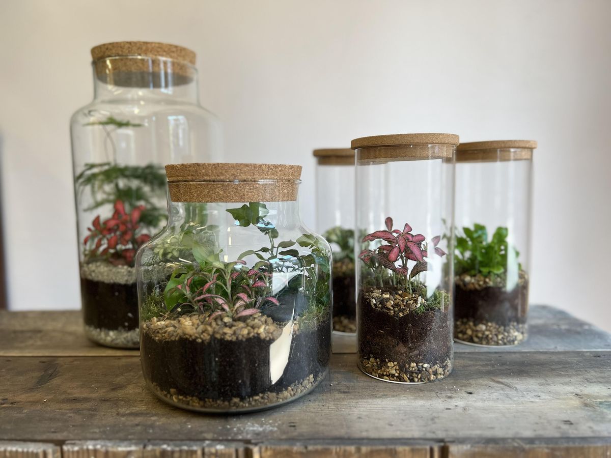 Terrarium Making Workshop
