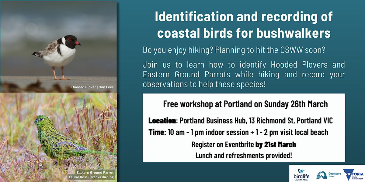 Identification And Recording Of Coastal Birds For Bushwalkers 