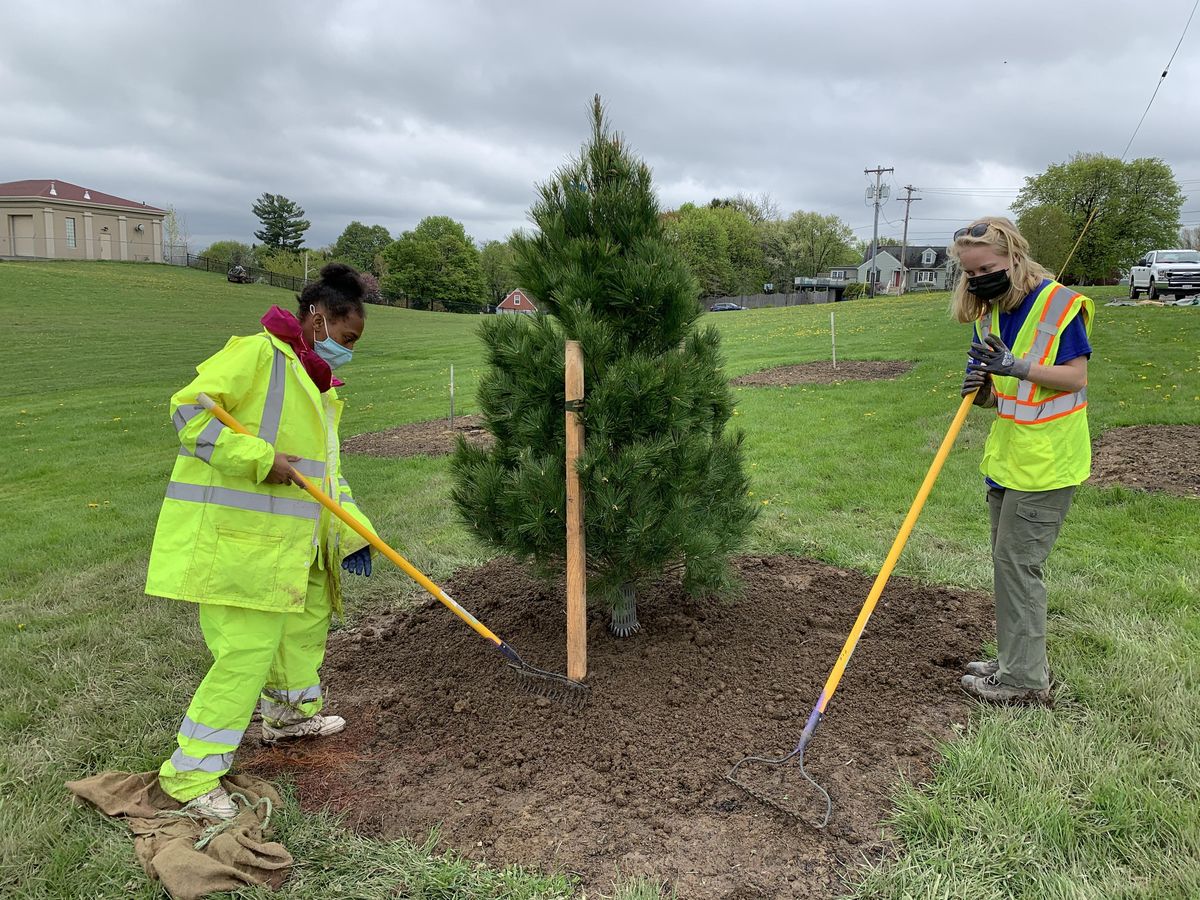 Community Tree Planting on 30th October, 2021