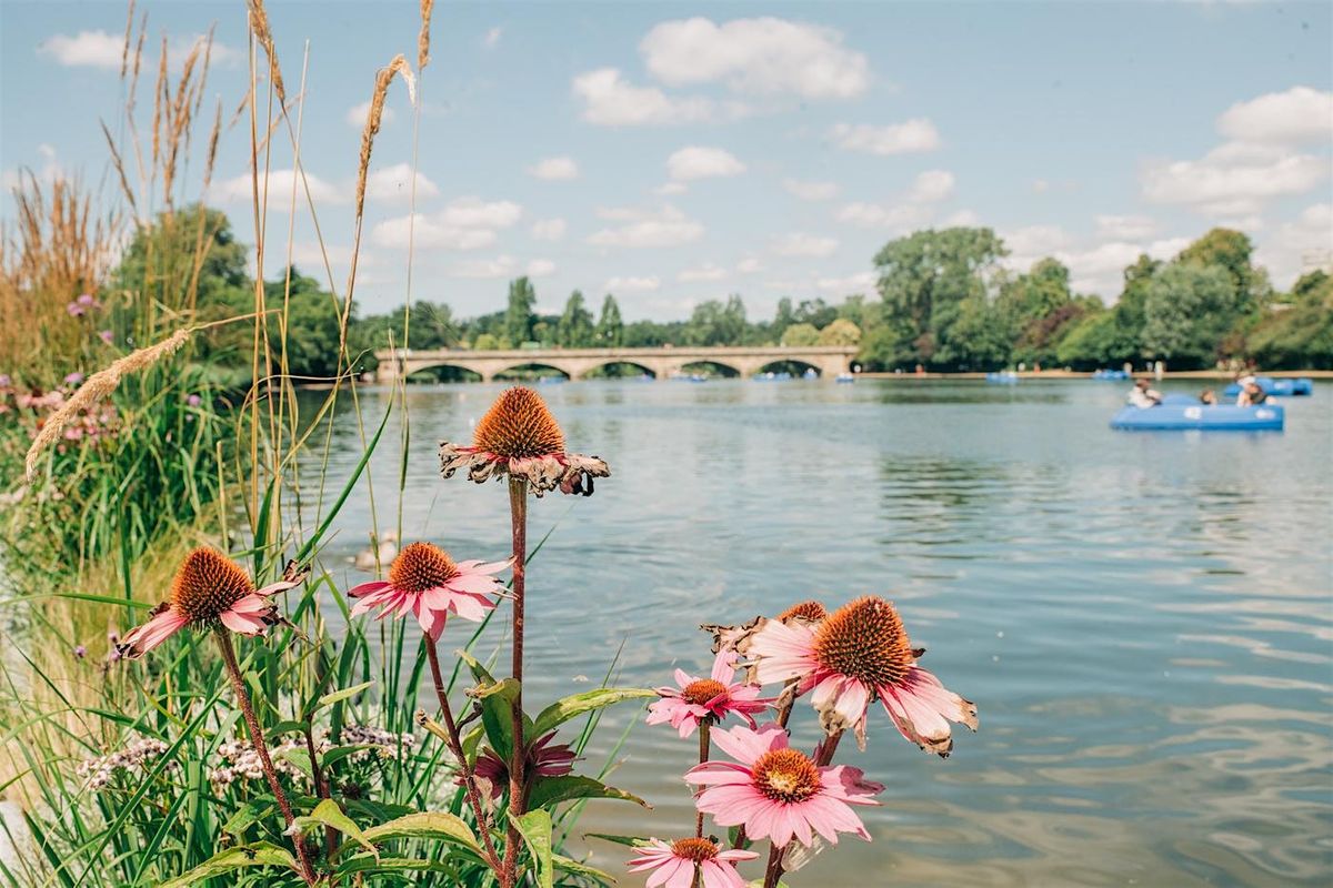 Hidden Stories of Hyde Park Walking Tour