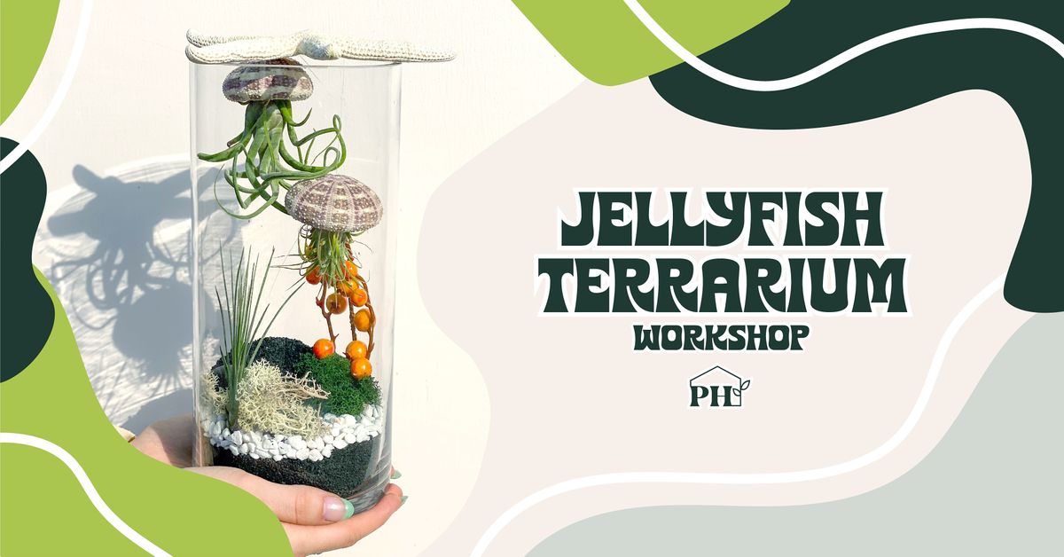 Jellyfish Terrarium PlantHouse Huntersville July 8, 2022