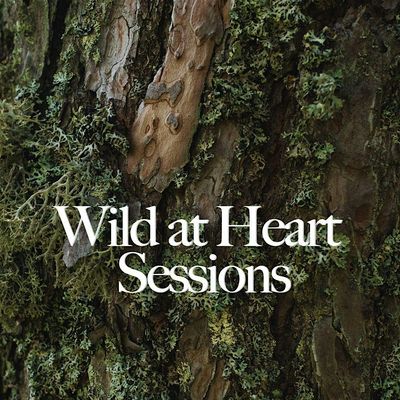 Wild at Heart Sessions