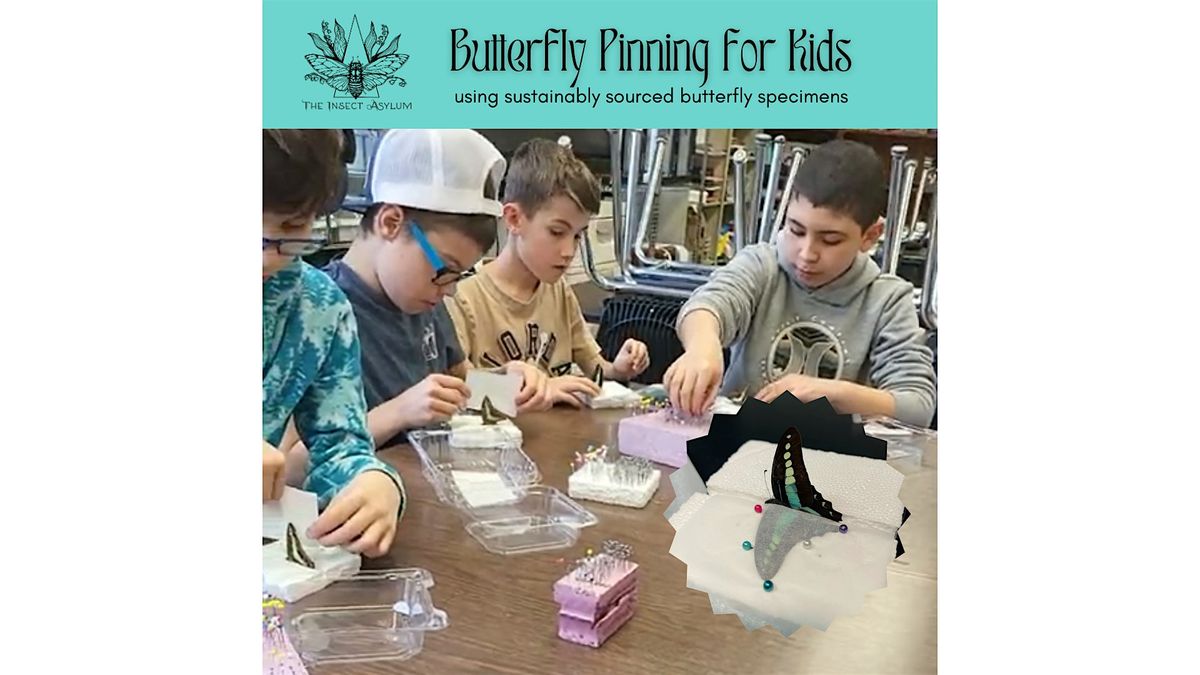 Butterfly Pinning for Kids ages 5-17