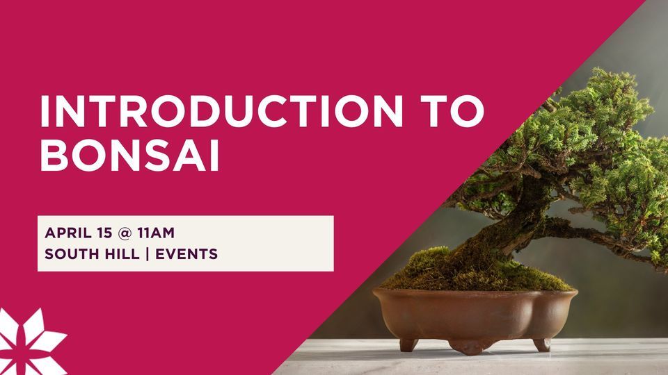 Introduction to Bonsai Spokane Public Library South Hill April 15, 2023