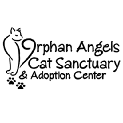 Orphan Angels Cat Sanctuary and Adoption Center
