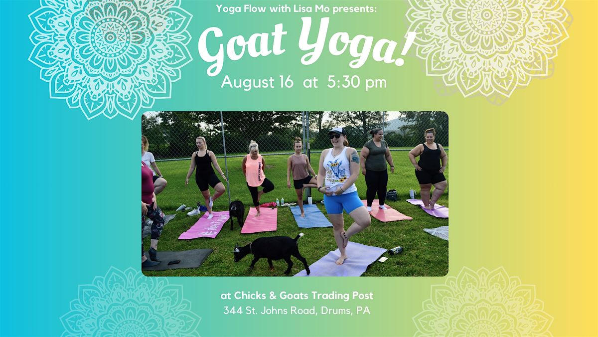 Goat Yoga at Chicks & Goats Trading Post at 344 St Johns Rd, Drums on ...
