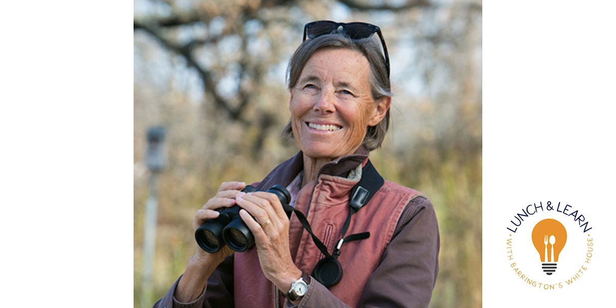 Lunch & Learn Series: Birds of Barrington with Birder Wendy Paulson