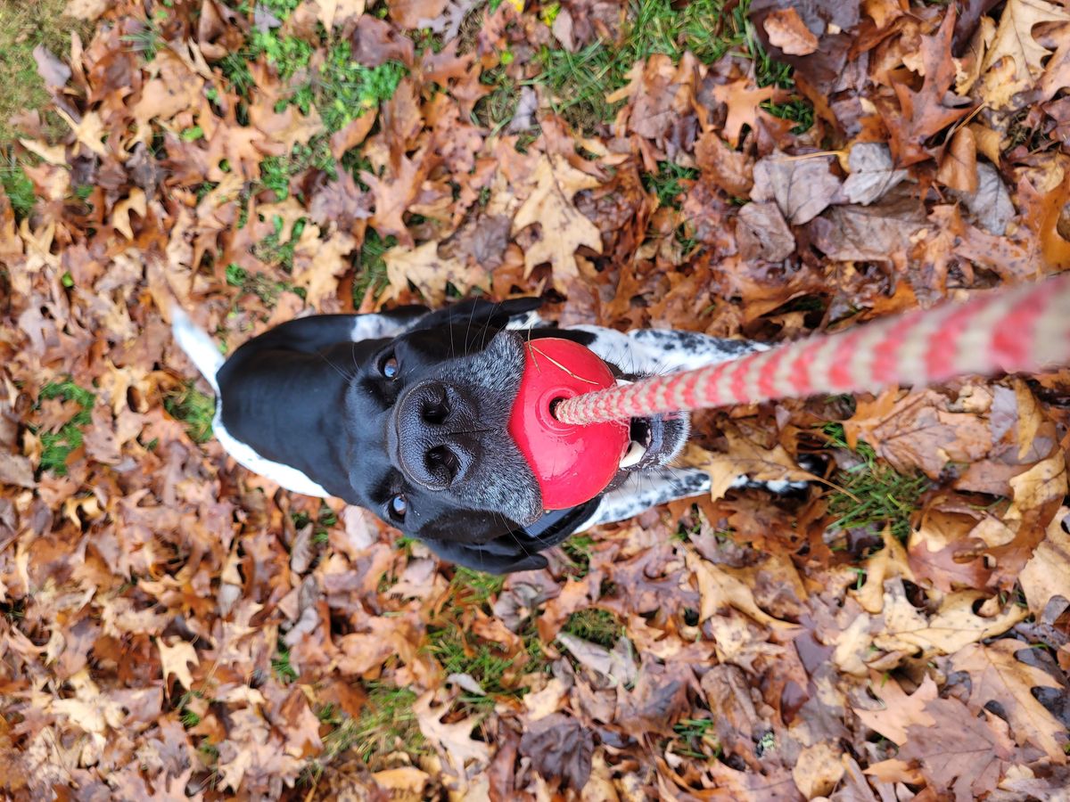 Events Happening Next in Quakertown, PA