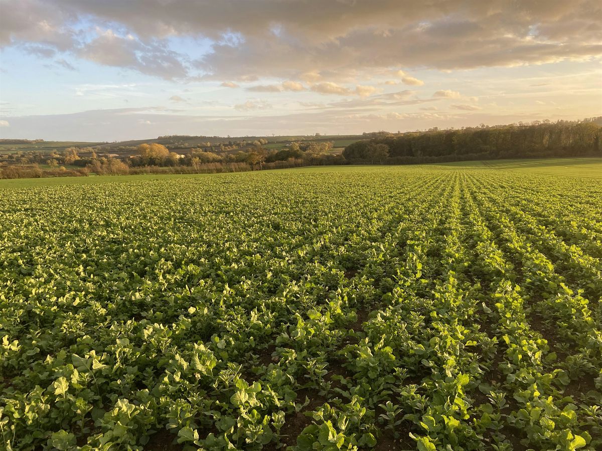 Welland Waters, Healthy Soils