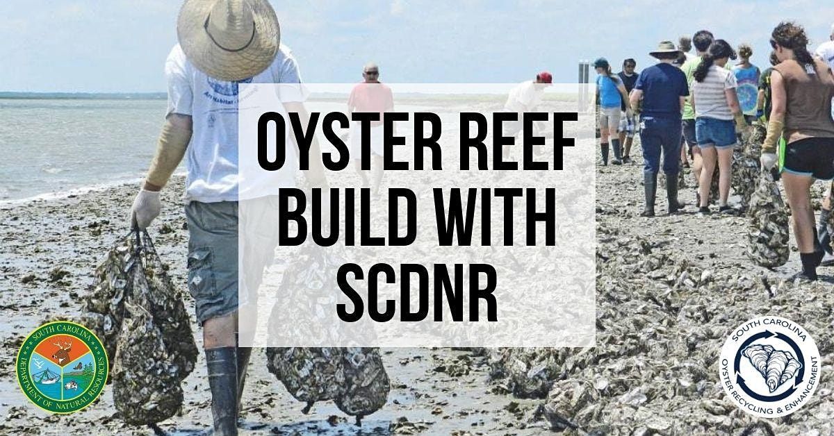 Oyster Reef Build with SCDNR SCORE @ Main Creek in Murrells Inlet at ...