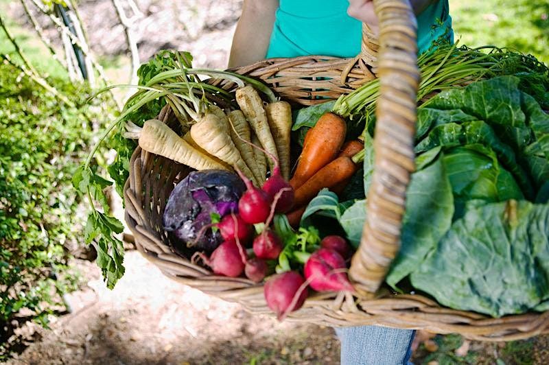 Grow Your Own Groceries Compost Education Centre Victoria Bc