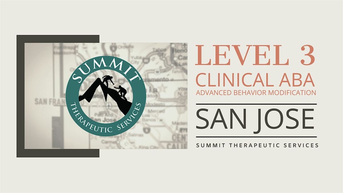 Level 3- SJ