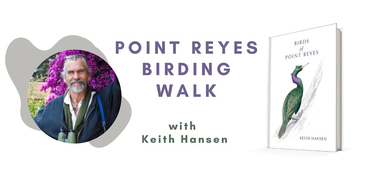 A Birding Walk in Point Reyes Station with Artist and Author Keith ...