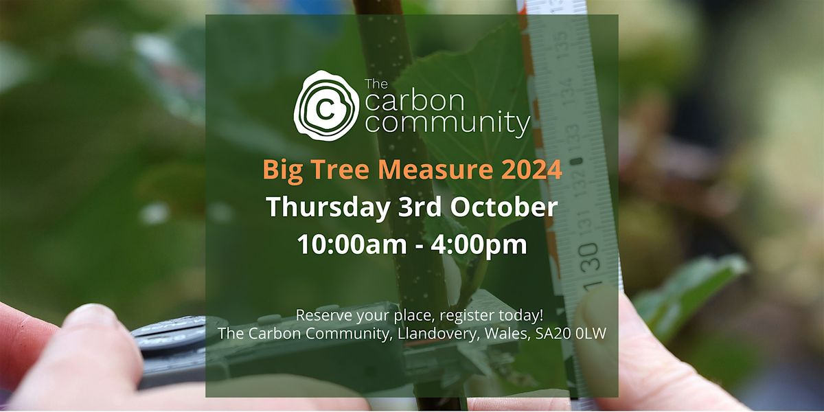 Big Tree Measure 2024 | The Carbon Community, Lampeter, WA | October 3 ...