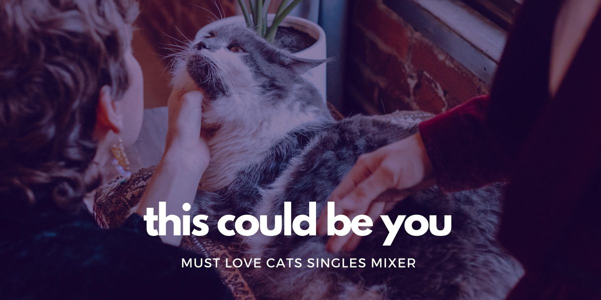 Must Love Cats Singles Mixer at the Brooklyn Cat Cafe The Brooklyn