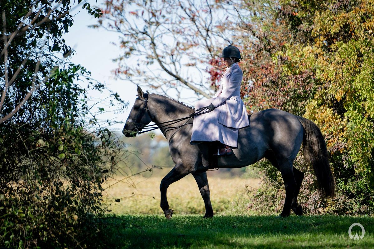 Sidesaddle 101 Clinic
