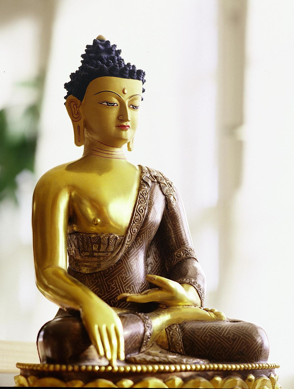 Buddhist Meditation Class
