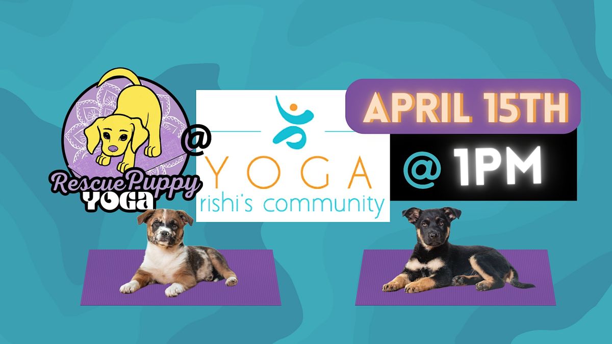 Rescue Puppy Yoga -  Rishi\u2019s Community Yoga