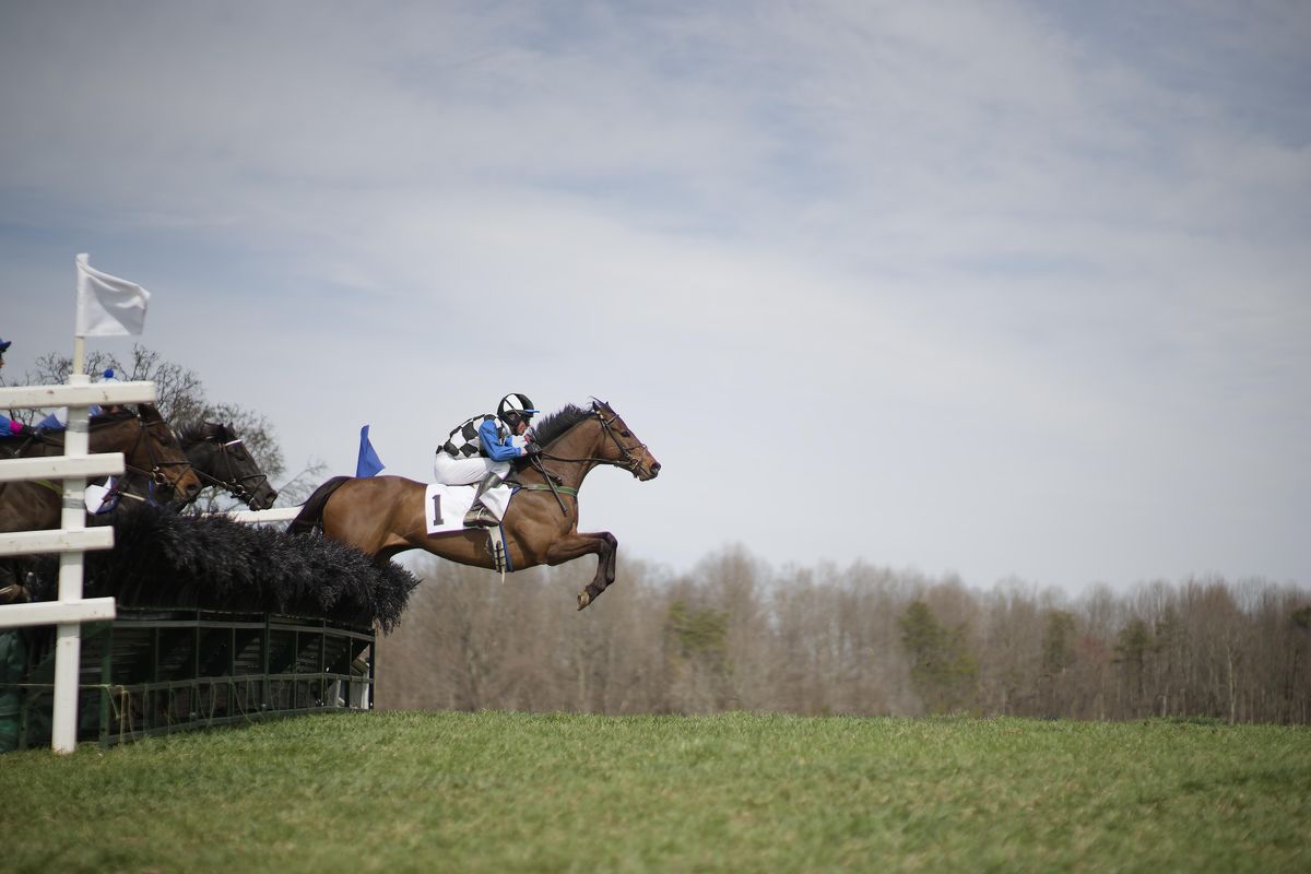 Blue Ridge Point To Point Races Woodley Farm Berryville VA April blue-ridge-point-to-point-races-woodley-farm-berryville-va-april