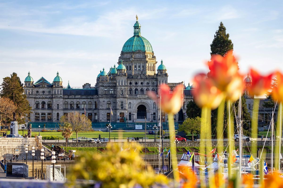 An Epic, Fun-Filled Scavenger Hunt! - Victoria's Wild Adventure