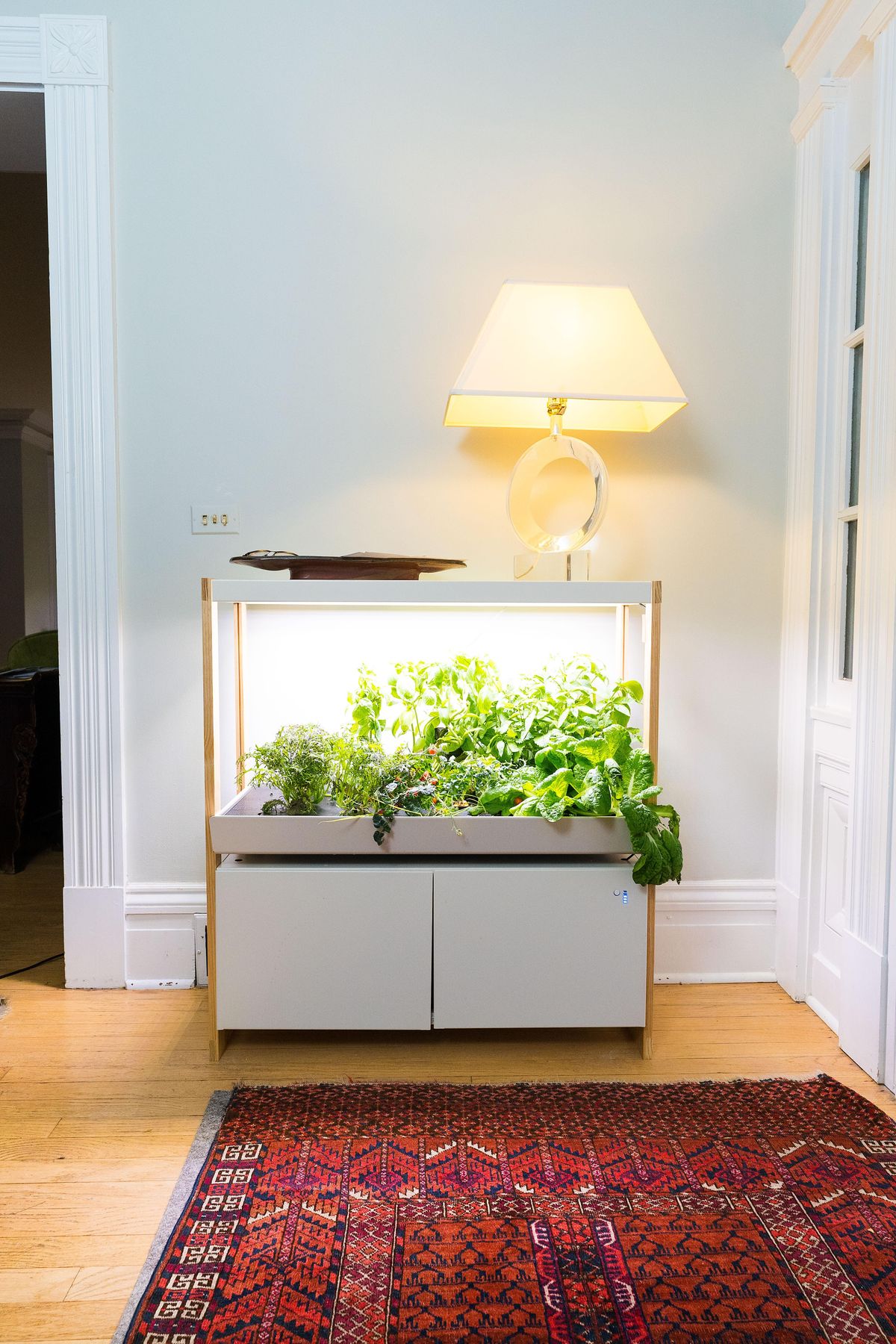 High Rise Grow Sill Ups And Glowing Audio Systems In Chicago preview