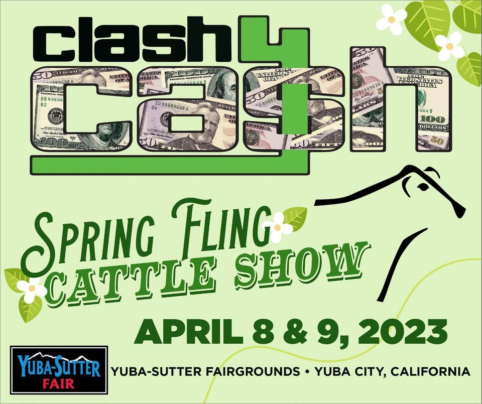 2023 Clash 4 Cash Spring Fling Steer Show YubaSutter Fairgrounds