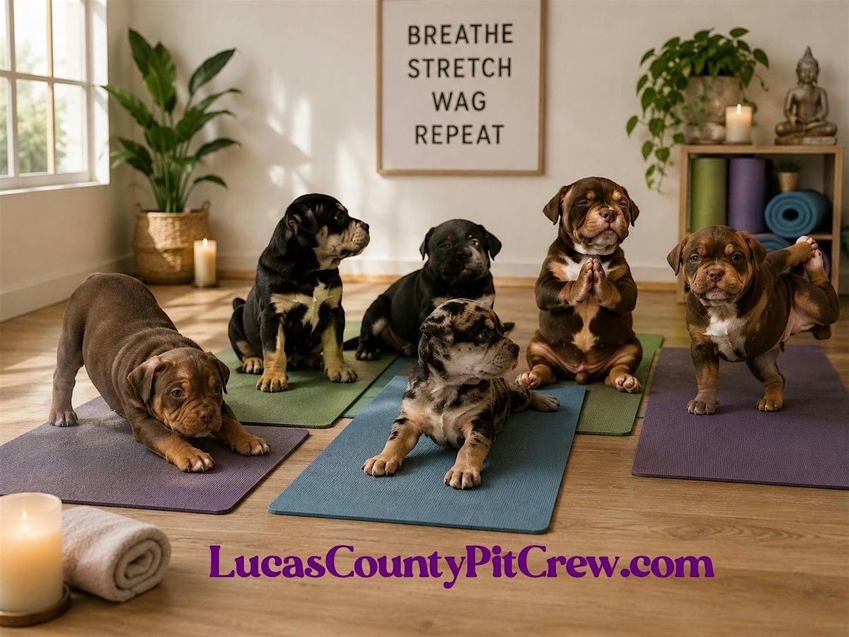 Yoga with Puppies