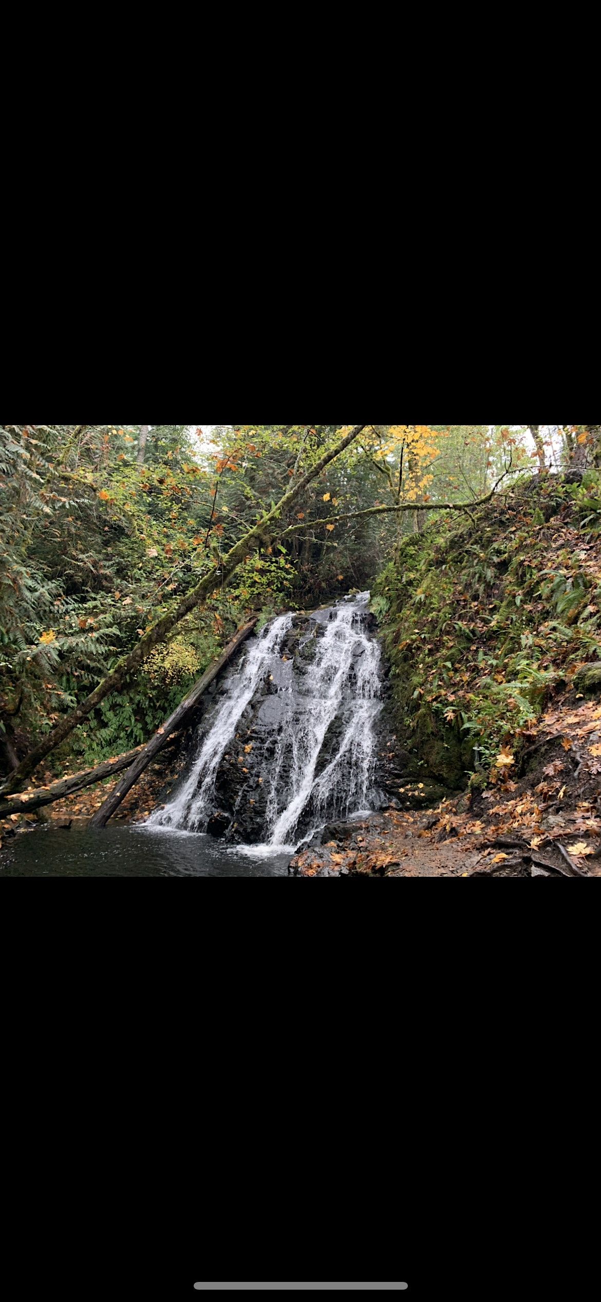 Social(ist) Waterfall Hike