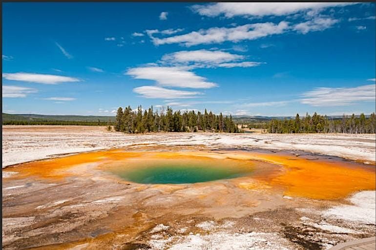 Homeschool and Enrichment 2022 FALL Unit 6 STEM and Biology Burpee Museum of Natural History