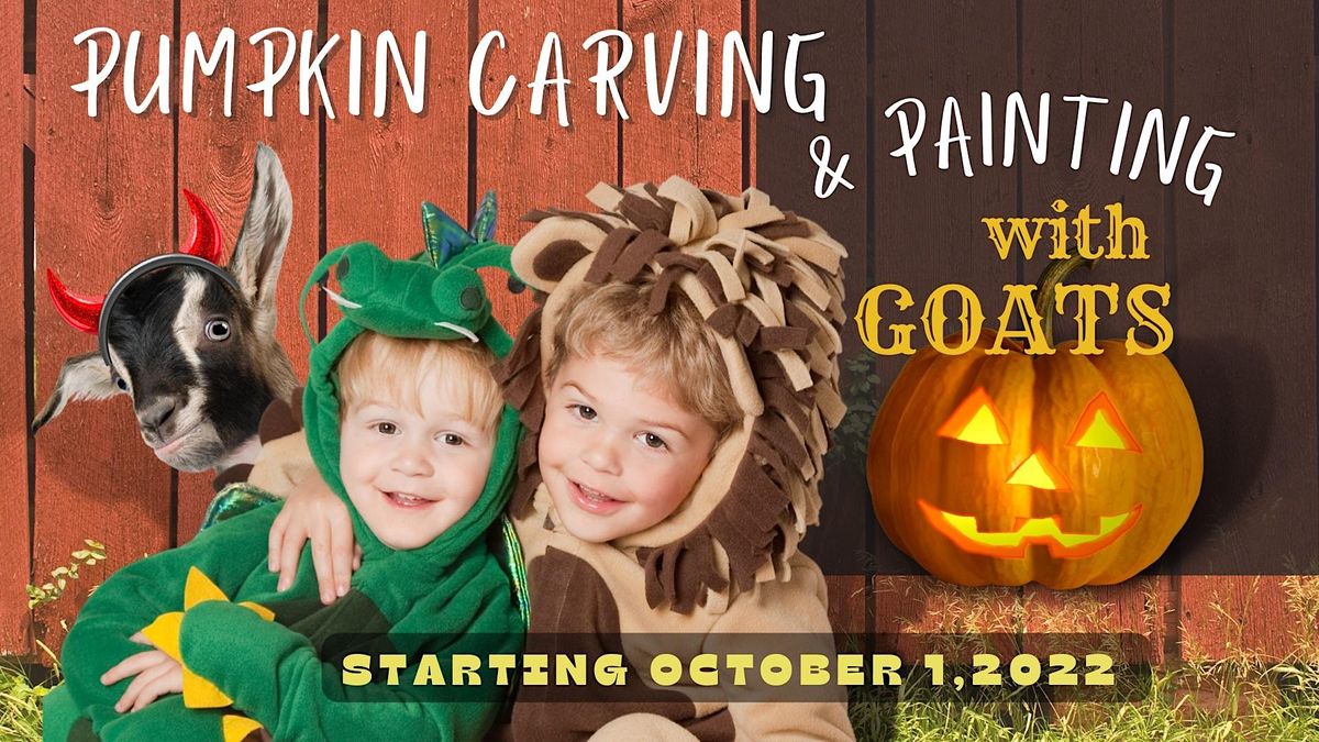 Pumpkin Carving with Goats | Pactamere Farm, Glen Allen, VA | October ...