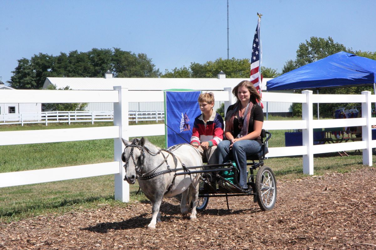 Horse Pull Schedule 2022 Horse & Pony Experience | La Fleur Stables, L.l.c., Verona, Wi | February  25, 2022