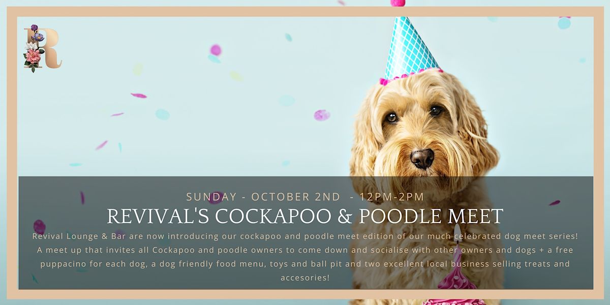 Revivals Dog Meet Cockapoo & Poodle Edition Revival Restaurant