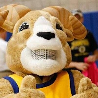 Suffolk University Sports MGT