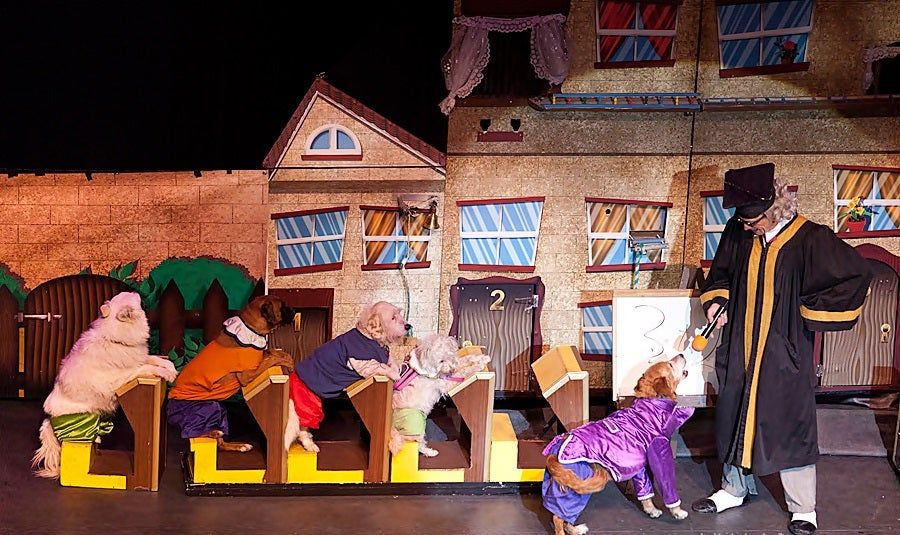 Popovich Comedy Pet Theater - Las Vegas