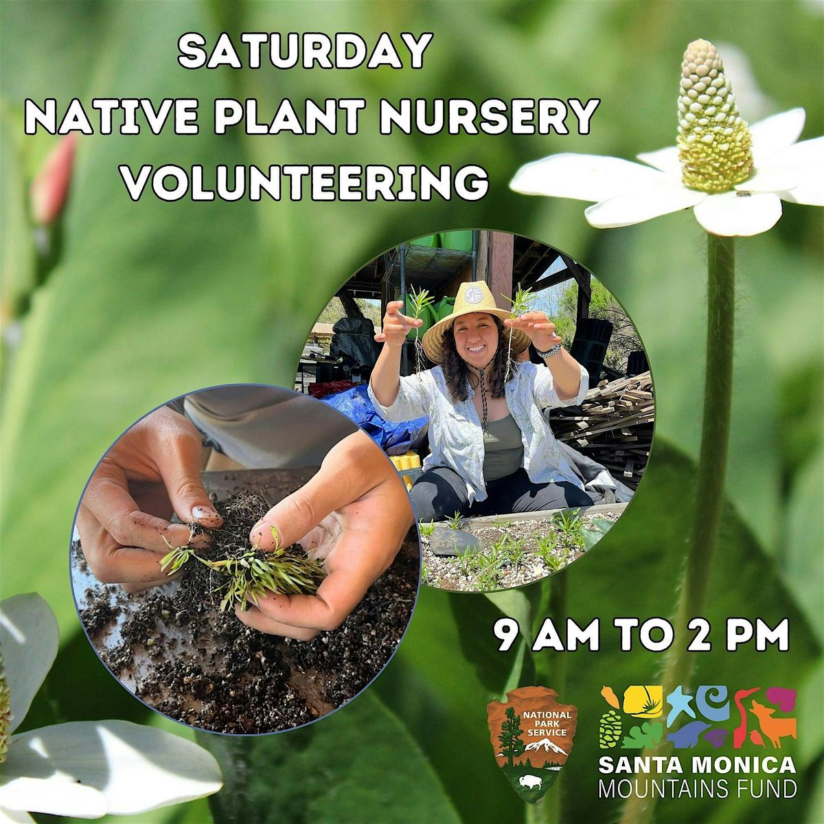 FREE PLANT SATURDAYS! - Native Plant Nursery Volunteering