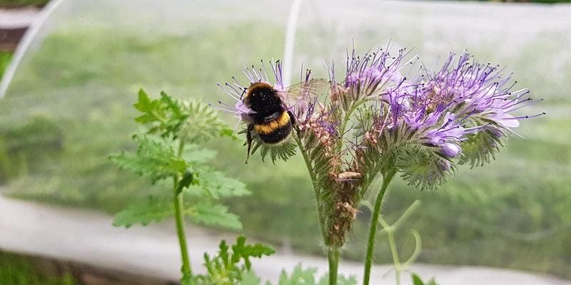 Food and Climate Cafe West