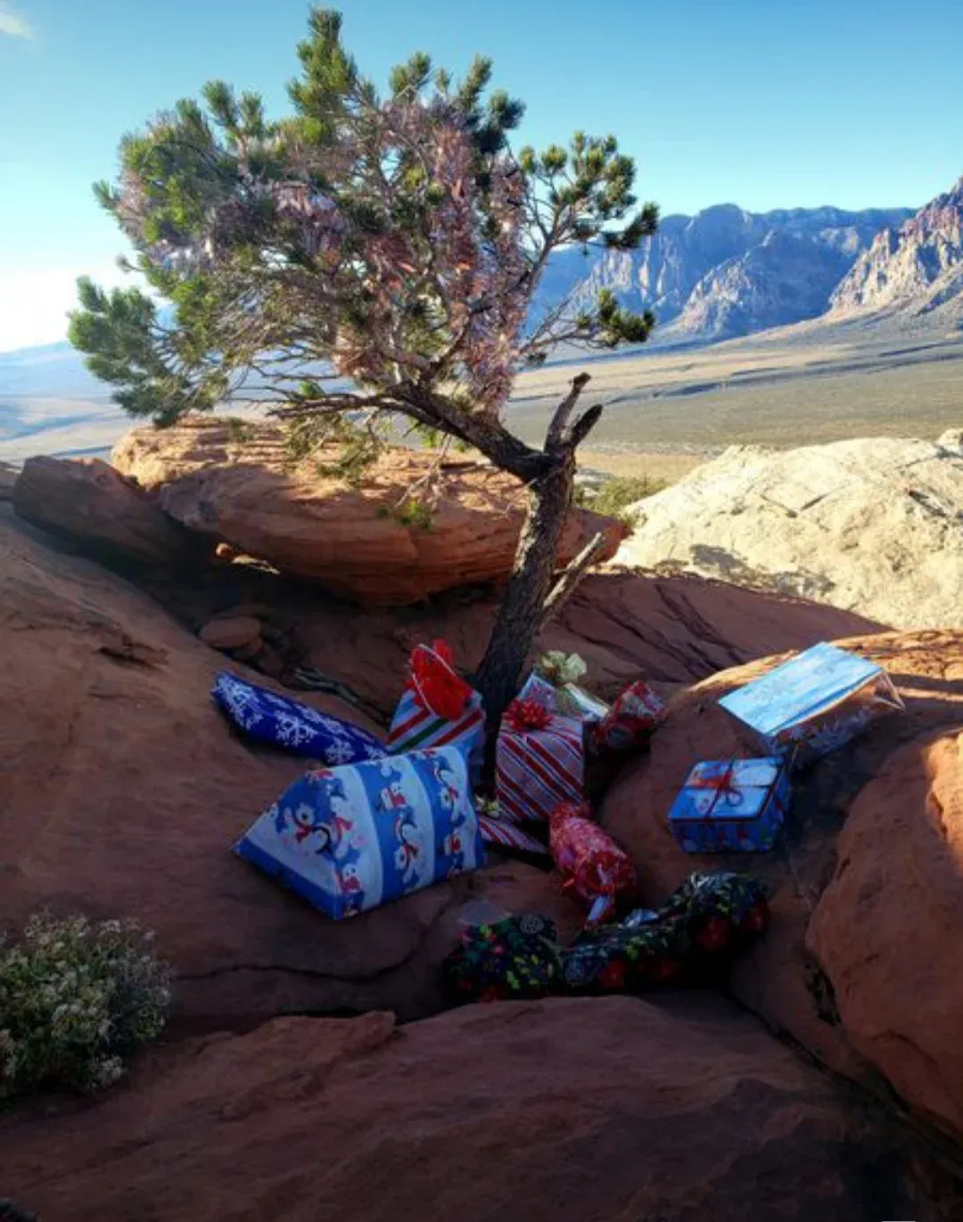 Turtlehead Jr - Annual White Elephant Christmas Gift Exchange and L2 Chip