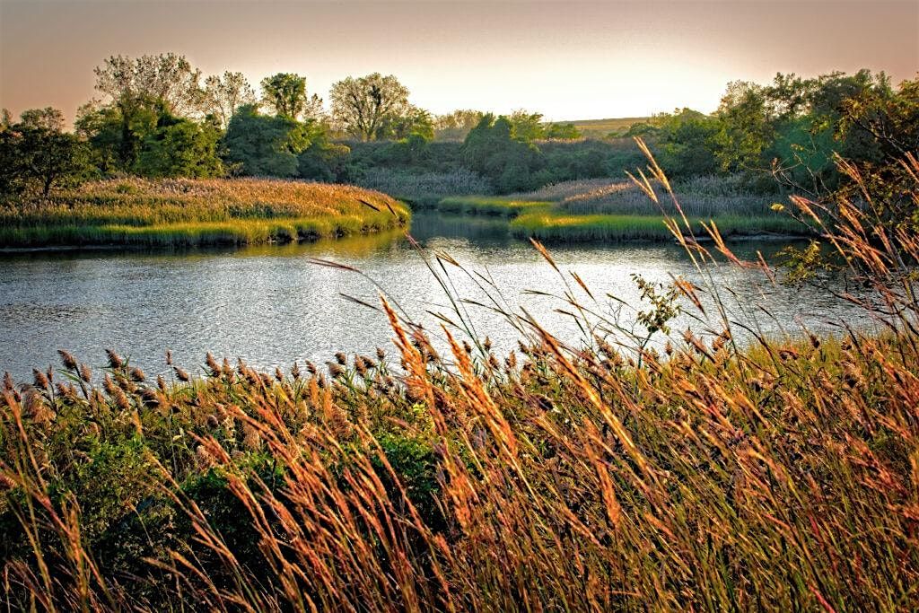 Capturing Change: Golden Hour Photography Tour