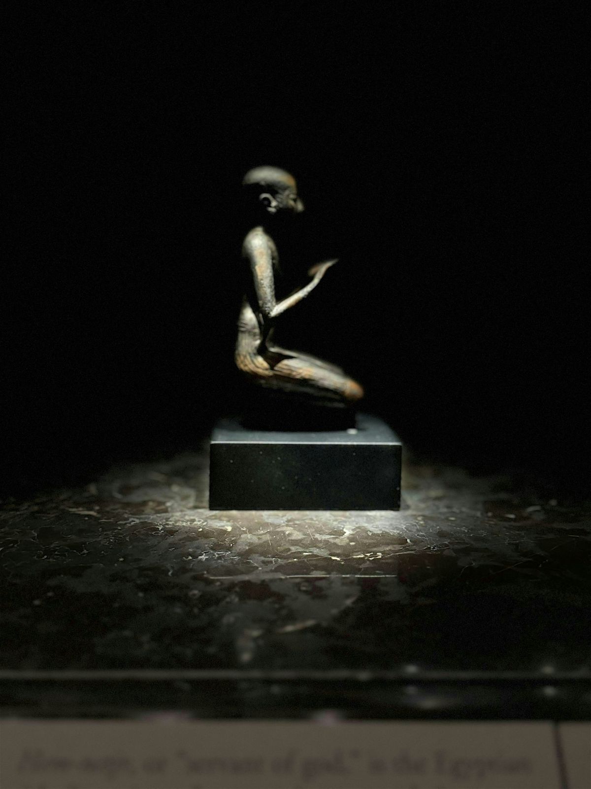 KC Wellness Conference