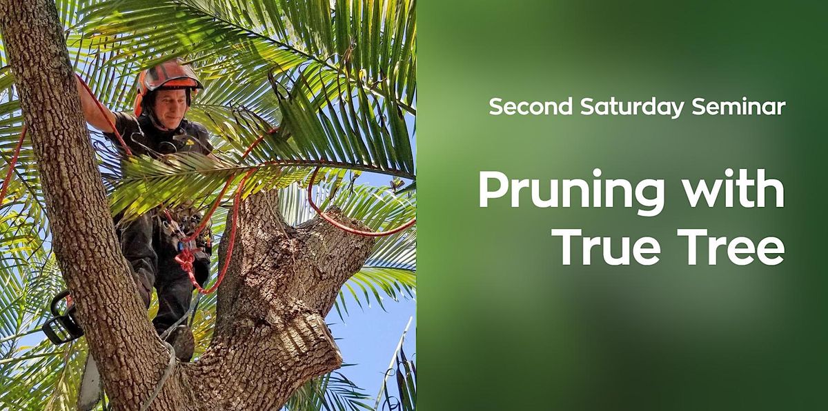 True Tree Second Saturday Seminar: Pruning with True Tree | Miami Beach Botanical ...
