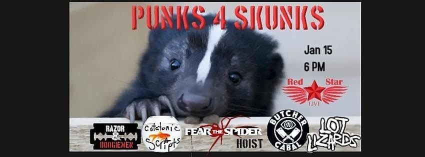 Punks 4 Skunks
