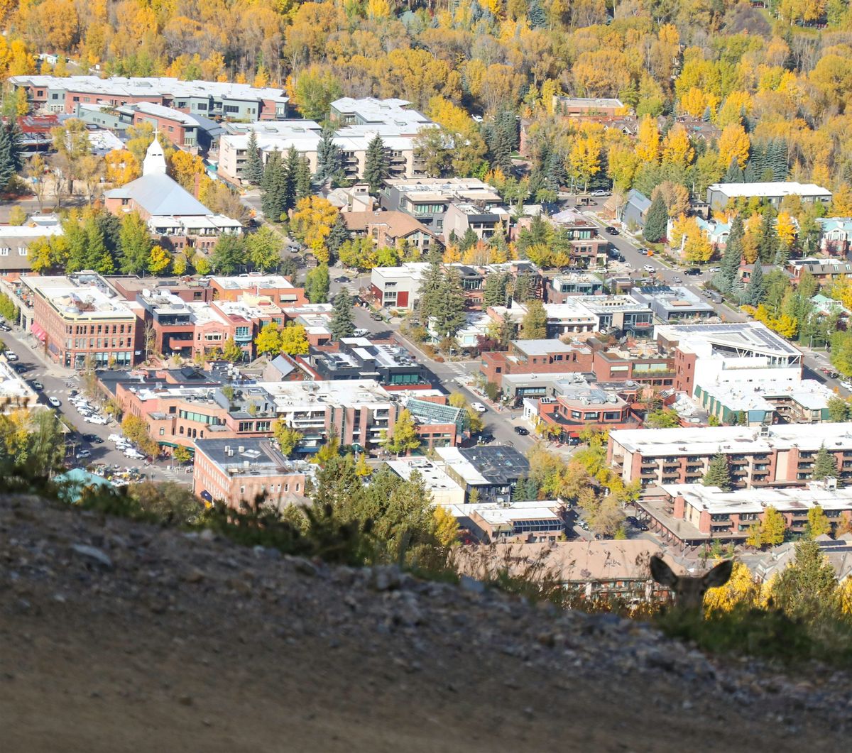 Amazing Scavenger Hunt! - Get An \u201cAltitude\u201d Adjustment