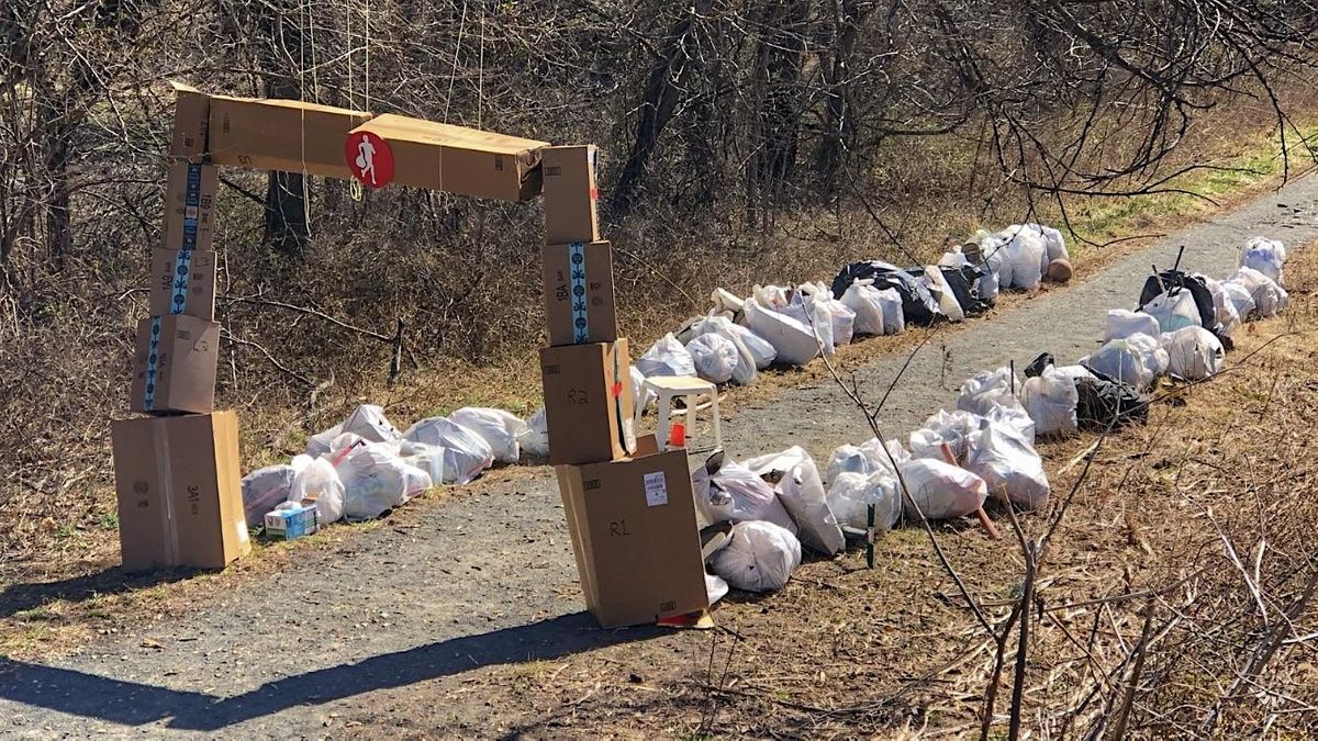 Veterans day word search answers Veterans day word search answers