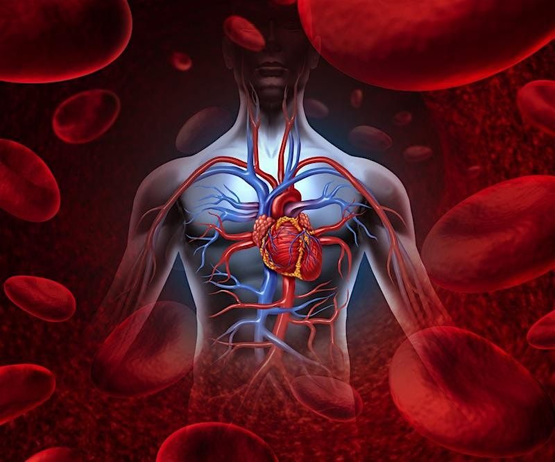 RBH Vascular Care Student Seminar (UHD Students only)