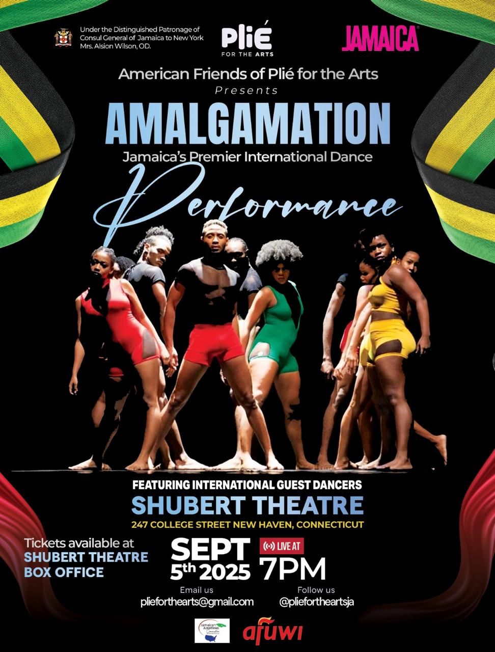 Plie for the Arts- Amalgamation at Shubert Theater New Haven