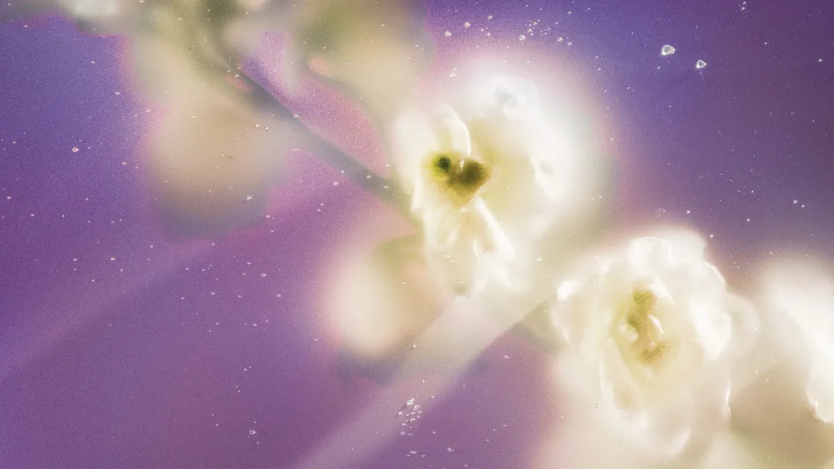 Cassandra Jenkins in Chicago