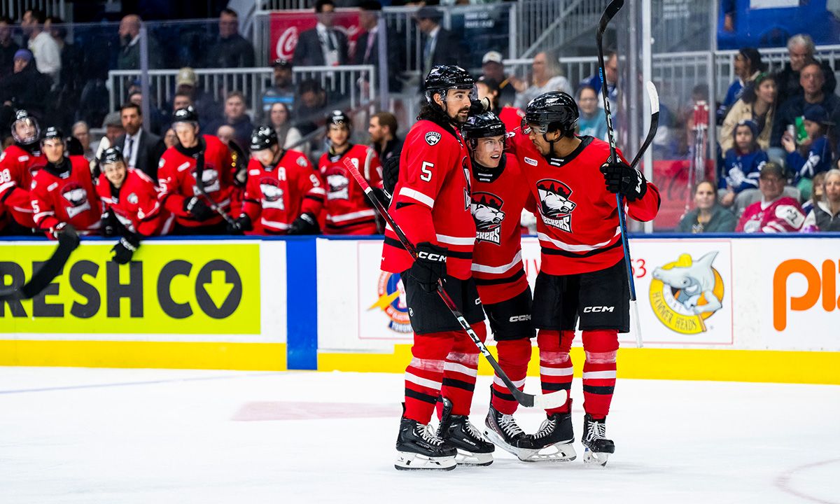 Charlotte Checkers vs. Toronto Marlies