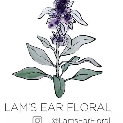 Lam's Ear Floral